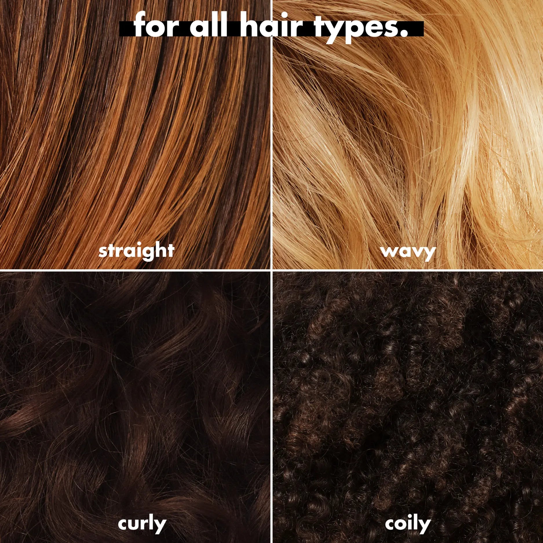 Frizz to Rizz Haircare Trio: Hydrate + Smooth + Repel Frizz for Every Hair Type (Shampoo + Conditioner + Anti-Frizz Styling Spray)